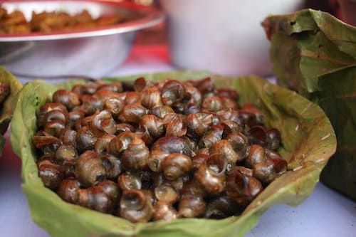 Ghonghi Nepal's weirdest food