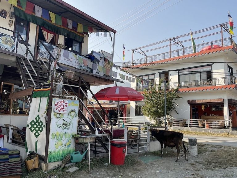 Little Tibet Restaurant in Pokhara