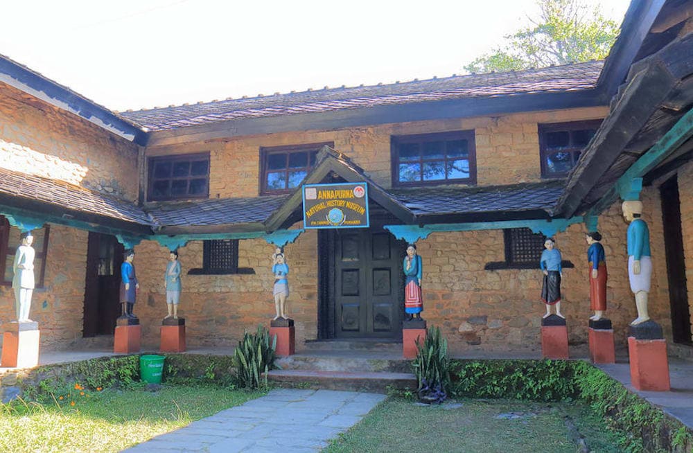 places to visit in pokhara, Annapurna Natural History Museum