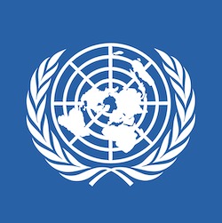 UNDP Logo review