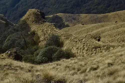 Steep walk to Khumai Danda, Khumai Danda Trek, Khumai Danda