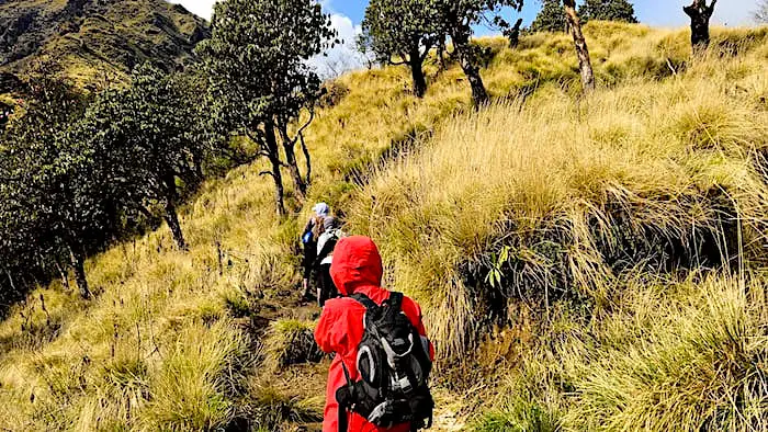 Bacpacking in Nepal's Himalayas